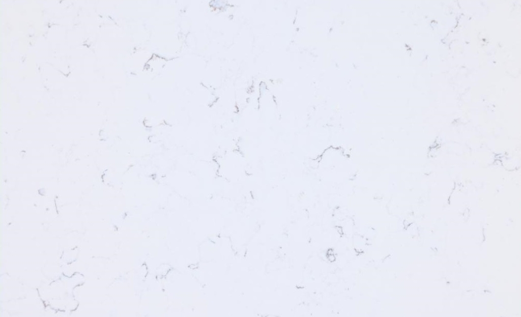 Carrara Gold Quartz Slabs