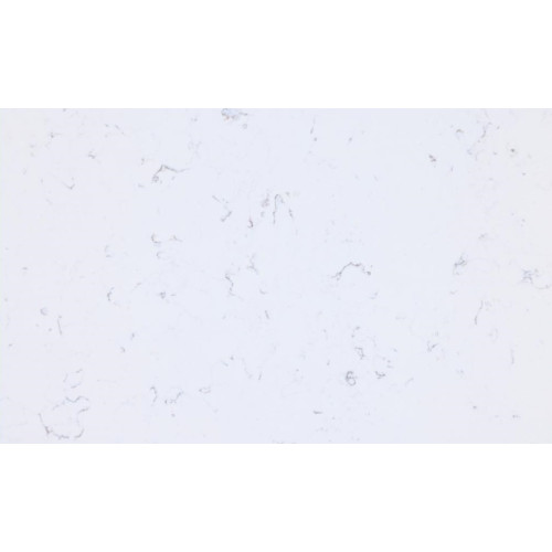 Carrara Gold Quartz Slabs